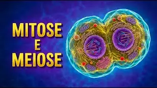 MITOSE vs MEIOSE: Qual a Diferença? Entenda a Divisão Celular!