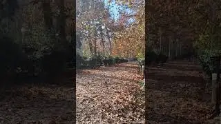 #پاییز#ایران#مشهد#autumn #nature#love#running
