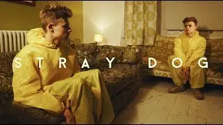 STRAY DOG - film trailer (2013)