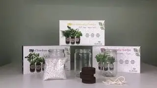 Cultivea - Pr&eacute;sentation du kit d'herbes ar&ocirc;matiques Bio - Bleu (Ciboulette, Basilic, Persil)