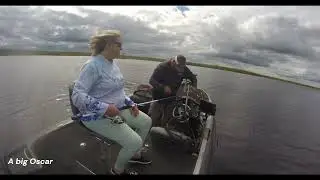 Bass Busters Classic November 2023 Day 1 of 2, Lake Okeechobee