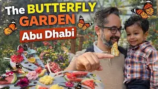 The Butterfly garden | Abu dhabi | Tourist attraction | Inside the butterfly garden