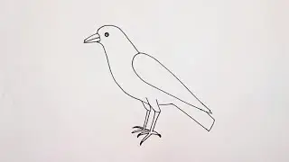 how to draw crow drawing simple step for beginners@Kids Drawing Talent