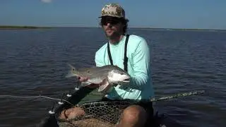 October Low Tide Redfish On Fly! Sight Fishing at It's Best!