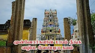 முன்னோர்களின் சாபம் நீங்க வணங்க வேண்டிய தலம் | திருபுவனம் புஷ்பவனேஸ்வரர் கோயில் | Aanmiga Arputham
