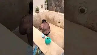Lavando la piscina nene