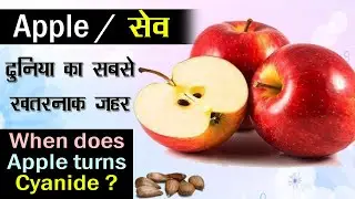 सबसे जहरीला फल | When does apple turns Cyanide? | Apple seeds side effects in hindi