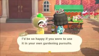 How to easily get hedge DIY from leif