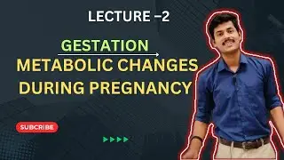 Gestation - 2 | Metabolic changes during pregnancy