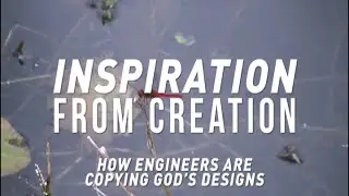 Inspiration from Creation, Featuring Prof. Stuart Burgess