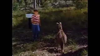 Skippy (Subtitulado Espa&ntilde;ol) S01 E01 (1968)