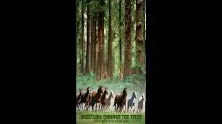 WHISTLING THROUGH THE TREES