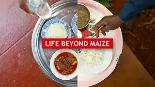 Life Beyond Maize