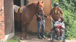 The Versatile Horse