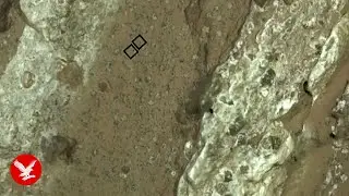 Nasa chief reveals 'signs of ancient life' found on Mars