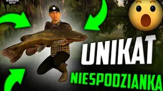 wszystkie ryby z JEZIORO QUANCHKIN | #14 FISHING PLANET