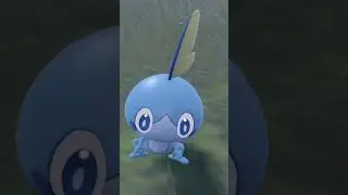 Sobble Doesn't Know What's Coming