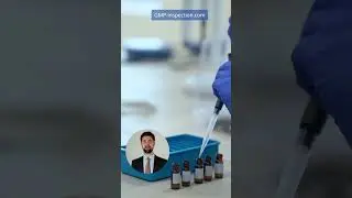 Как обычно проходит GMP-инспекция?