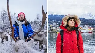 DIFERENCIAS DEL POLO NORTE Y POLO SUR
