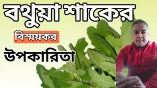 বথুয়া শাক। বেতো শাকের উপকারিতা পুষ্টি ও ঔষধি গুণ | Bothua Shak  | Bethua Shaak health benefits