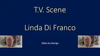 Linda Di Franco   T V Scene  KARAOKE