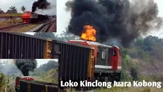 JUARANYA KOBONG BERKALI KALI !! Lokomotif Kinclong CC 201 137R