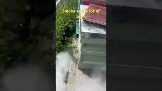 Smoke and the bees