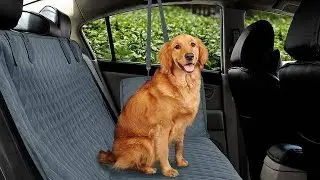 Dog Car Seat Cover Mesh Waterproof Pet Carrier Car Rear Back Seat Mat