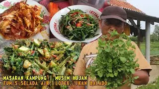Bikin Makanan Pedesaan Dari Selada Air Dan Kangkung