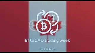 Trade Canadian Dollars for Bitcoin using the Hodl Hodl trading platform