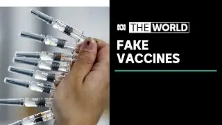 China cracks down on fake coronavirus vaccines | The World