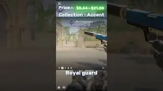 USP Royal Guard Showcase 🟦🟨#cs2 #csgo #cs2skins #shorts