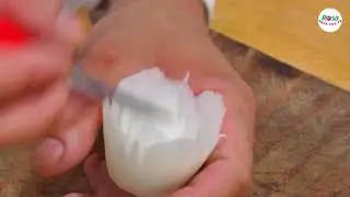 Hướng dẫn tỉa HOA HỒNG từ củ cải trắng cùng Nghệ nhân tỉa của quả PHẠM HOÀNG