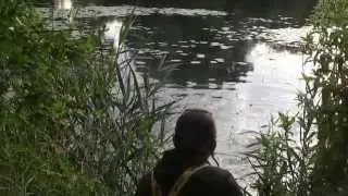 Surface fishing for CARP