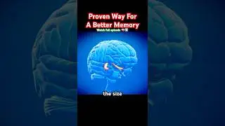 Proven way for a better memory #health #facts #science #shorts #foryou #doctor #fyp #brain #memories