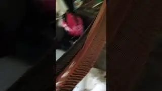 11 de enero de 2026