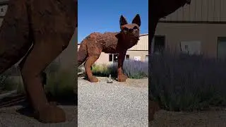 Alvin the Alien with the Giant Metal Wolf or Coyote Santa Fe New Mexico not his mother #alienfunny