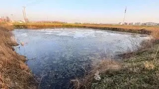 同行的大哥们，手下留情啊