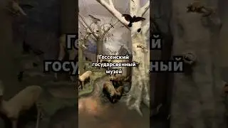 Гессенский государственный музей