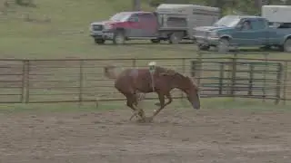 canadian made bucking horses 5