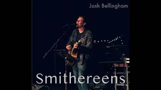 Smithereens - josh Bellingham - twenty one pilots cover