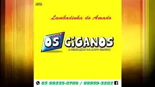 Seleção de Lambadinha do Amado Batista - Banda Os Ciganos