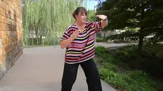 TAI Chi Instructional Intro