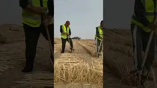 Grass Grid A Smart Solution to Desert Erosion #farming #farmer#facts #farmerfact