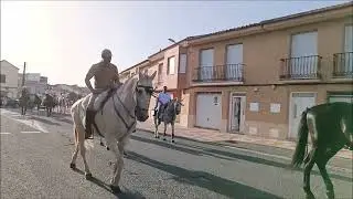 PASACALLES DE CABALLOS FERIAS Y FIESTAS 2023 CALZADA DE CALATRAVA