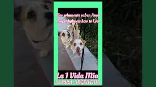 Son la alegr&iacute;a de La 1 Vida Mia