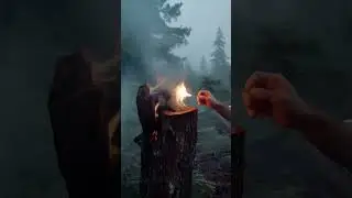 Kwebbelkop AI ACCIDENTALLY Started a FOREST FIRE!?