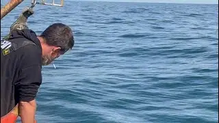 Убираем ловушки для омаров по принципу &laquo;всё или ничего&raquo;. Новое место, новая стратегия, новое дно.