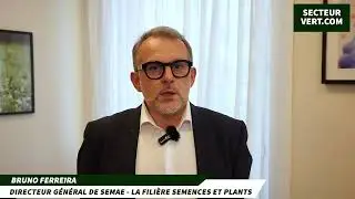 SEMAE: BRUNO FERREIRA, DIRECTOR GENERAL OF THE SEED AND PLANT SECTOR, GENERAL RENEWAL