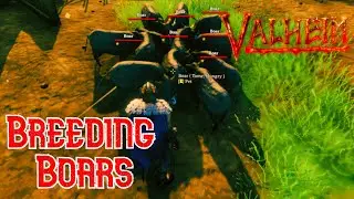 How to tame boar Valheim-QUICK AND EASY METHOD!